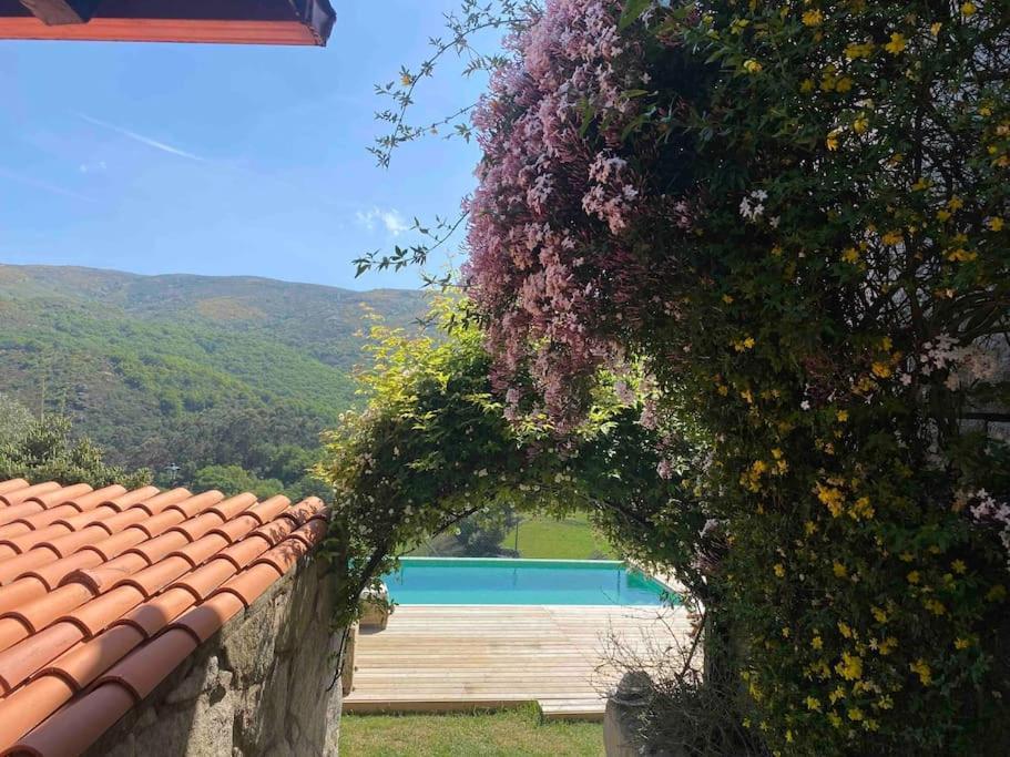 La Loba - Un Pequeno Paraiso A Tu Alcance Villa Fornelos de Montes Dış mekan fotoğraf