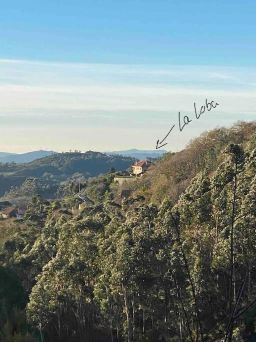 La Loba - Un Pequeno Paraiso A Tu Alcance Villa Fornelos de Montes Dış mekan fotoğraf